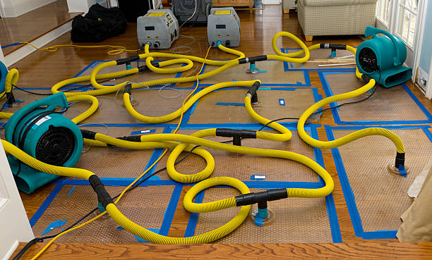 Professional Flood Damage Restoration technician working in Schurz, NV